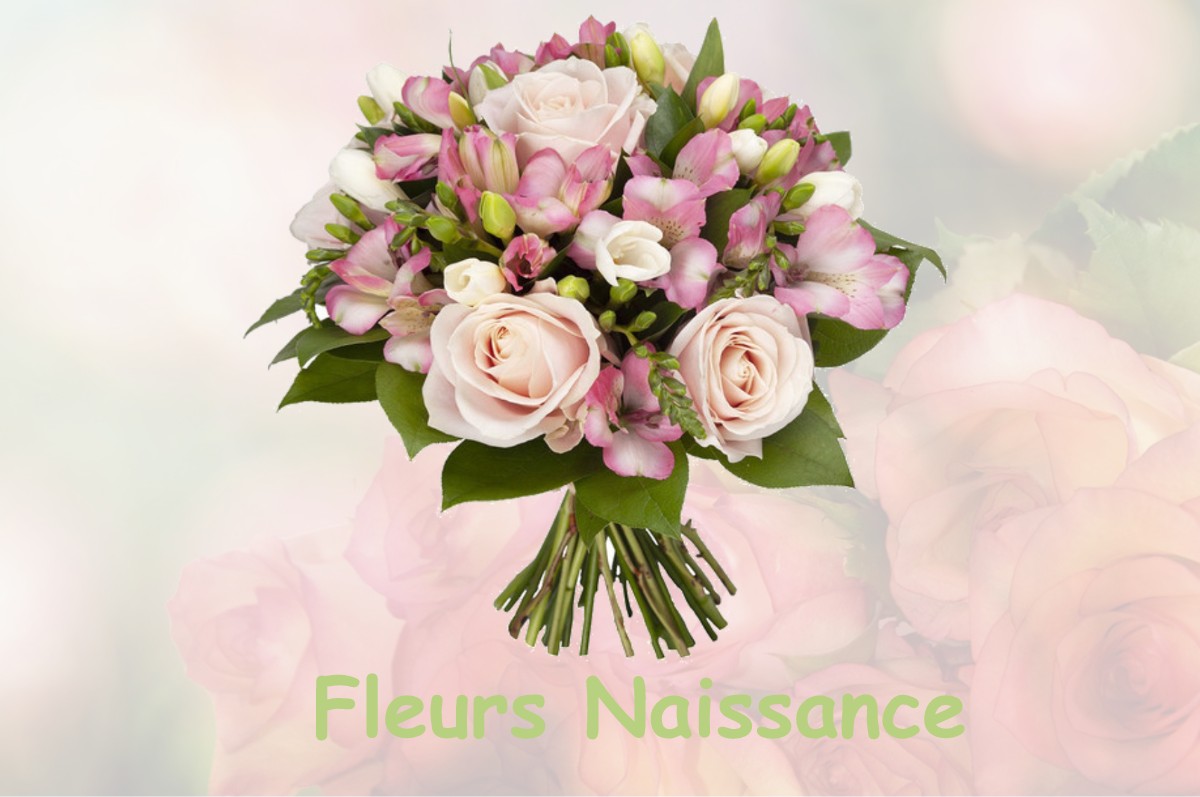 fleurs naissance CHASSEY-LES-MONTBOZON